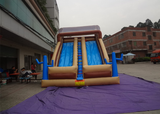 China La diapositiva inflable al aire libre divertida, inflable mojó/seca la diapositiva para los niños proveedor