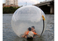 Bola inflable colorida del agua, bola inflable flotante del hámster para los seres humanos proveedor